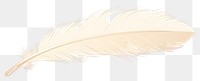 PNG Feather bird lightweight accessories transparent background