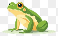 PNG Frog amphibian wildlife reptile transparent background