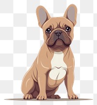 PNG Bulldog animal mammal pet transparent background