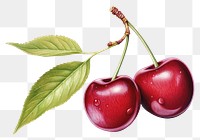 PNG vibrant fresh juicy cherries