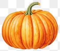 PNG Pumpkin vegetable plant food transparent background