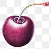 PNG Cherry apple fruit plant, digital paint illustration.