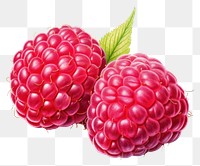 PNG Raspberry fruit plant food, digital paint illustration. AI generated image