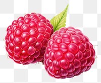 PNG Raspberry fruit plant food, digital paint illustration. 