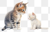 PNG Kitten animal mammal pet transparent background