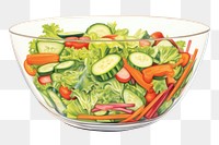 PNG Food bowl vegetable salad. 