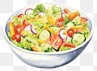 PNG Salad vegetable plate food transparent background