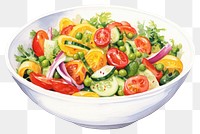 PNG Salad vegetable plate food transparent background