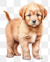 PNG Puppy dog mammal animal transparent background