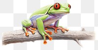 PNG Frog amphibian wildlife reptile transparent background