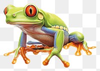 PNG Frog amphibian wildlife reptile transparent background