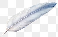 PNG Feather white transparent background lightweight. 