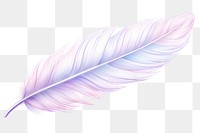 PNG Feather drawing sketch transparent background. 