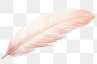PNG Feather transparent background lightweight accessories. AI generated Image by rawpixel.