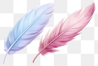 PNG Feather bird lightweight transparent background