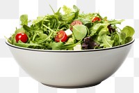 PNG Vegetable arugula salad plant transparent background