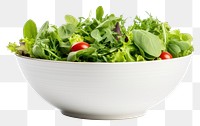 PNG Bowl vegetable arugula salad transparent background