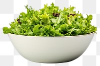 PNG Bowl vegetable lettuce salad transparent background