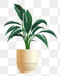 PNG Plant vase leaf houseplant transparent background