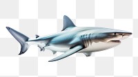 PNG Shark animal fish white background. AI generated Image by rawpixel.