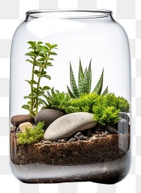 PNG Transparent plant jar houseplant. 