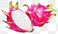 PNG Plant fruit food vegetable. AI generated Image by rawpixel.
