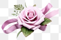 PNG Flower plant rose transparent background. AI generated Image by rawpixel.