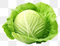 PNG Cabbage vegetable plant food. 