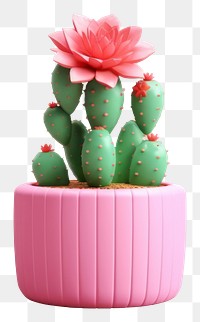 PNG Cactus flower plant vase. 