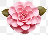 PNG Flower petal plant rose. AI generated Image by rawpixel.
