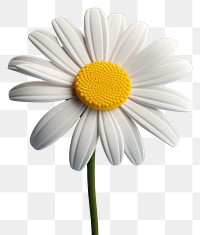 PNG Flower daisy petal plant. AI generated Image by rawpixel.