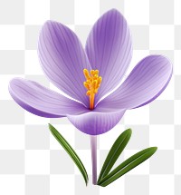PNG Flower crocus blossom petal. AI generated Image by rawpixel.