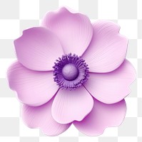 PNG Flower blossom anemone petal. 