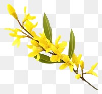 PNG Flower blossom plant petal. AI generated Image by rawpixel.