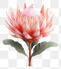 PNG Flower blossom petal plant. AI generated Image by rawpixel.