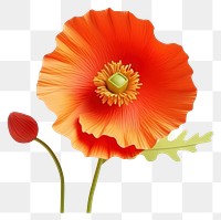 PNG Flower poppy petal plant. 