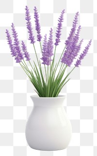 PNG Lavender blossom flower plant. 