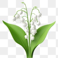 PNG Flower plant white leaf. AI generated Image by rawpixel.