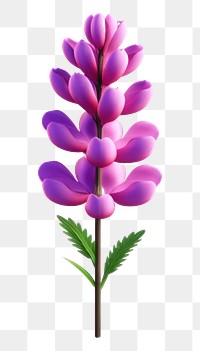 PNG Blossom flower purple petal. 