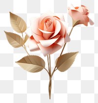PNG Flower rose plant inflorescence. AI generated Image by rawpixel.