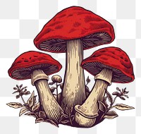 PNG Mushroom drawing fungus agaric. 