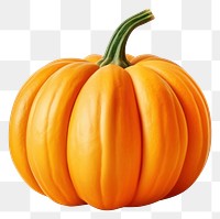 PNG Pumpkin vegetable plant food. AI generated Image by rawpixel.
