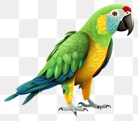 PNG Parrot animal bird white background. AI generated Image by rawpixel.