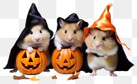 PNG Hamster halloween animal mammal. AI generated Image by rawpixel.