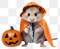 PNG Hamster halloween mammal animal. 