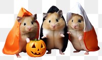 PNG Hamster halloween rodent animal. AI generated Image by rawpixel.