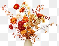 PNG Fall flower bouquet plant petal white. 