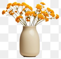 PNG Fall flower bouquet vase plant  