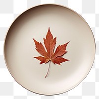 PNG Fall season special dish plate plant leaf. 