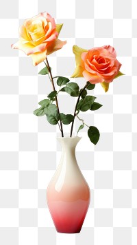 PNG Flower plant vase rose. 